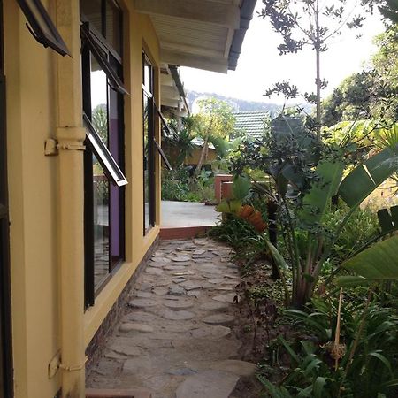 Jungle Monkey Backpackers Hostel Port Saint Johnʼs Exterior foto