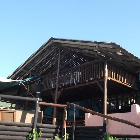 Jungle Monkey Backpackers Hostel Port Saint Johnʼs Exterior foto