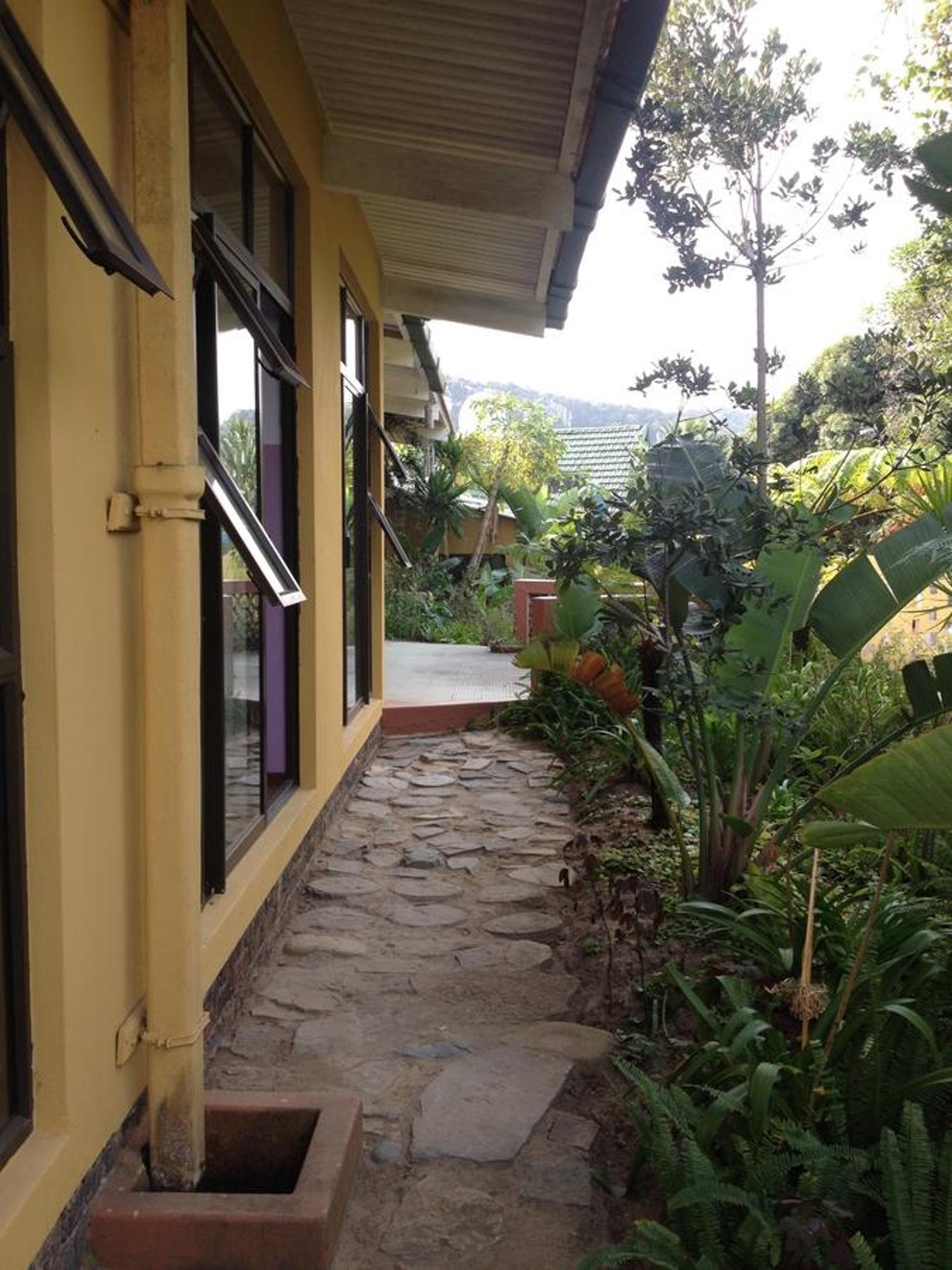 Jungle Monkey Backpackers Hostel Port Saint Johnʼs Exterior foto