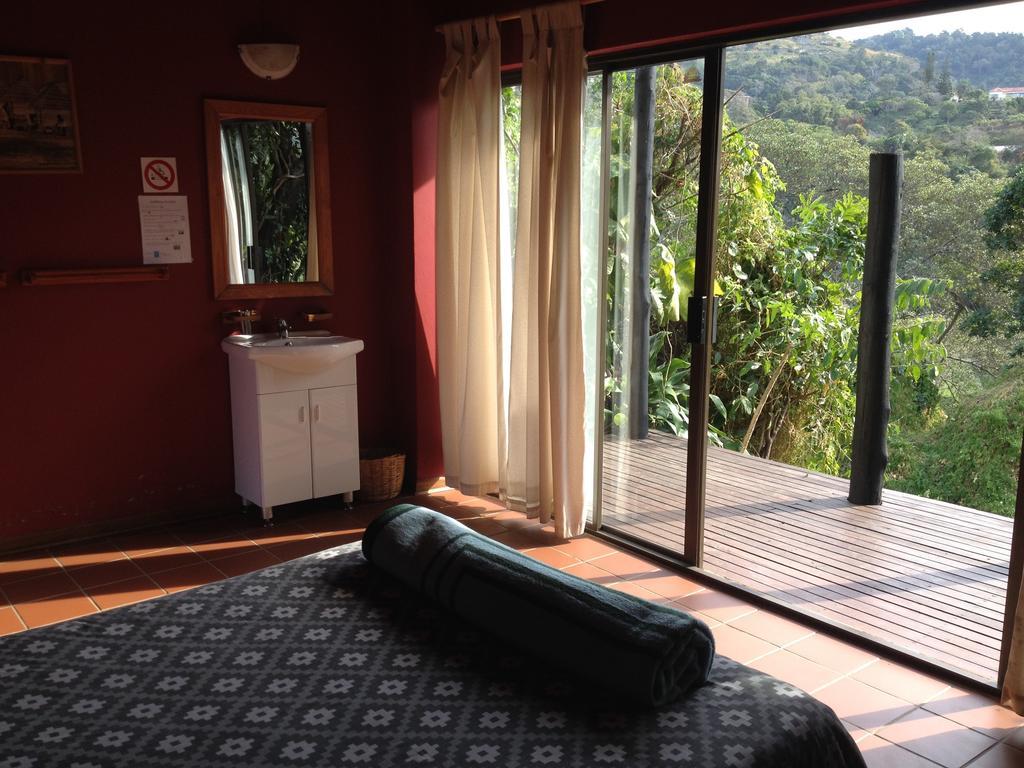 Jungle Monkey Backpackers Hostel Port Saint Johnʼs Cameră foto