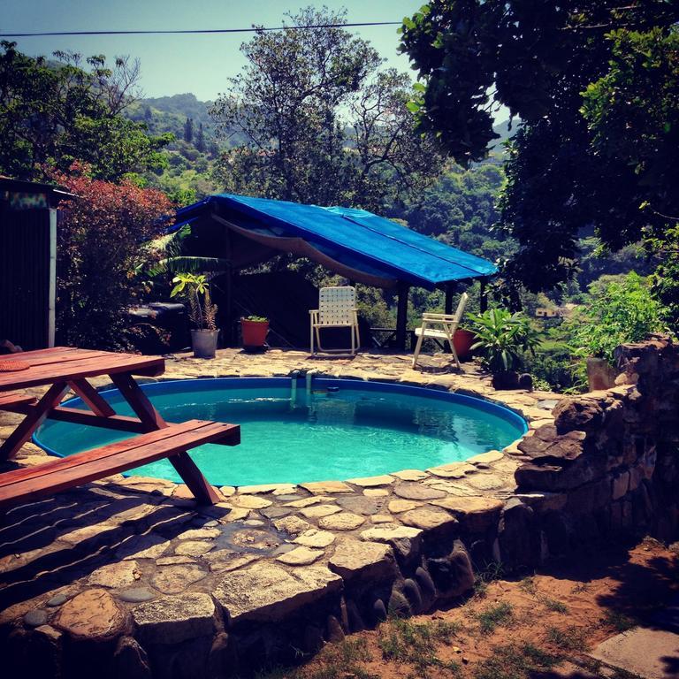Jungle Monkey Backpackers Hostel Port Saint Johnʼs Cameră foto
