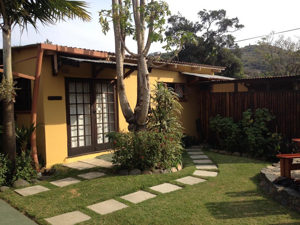 Jungle Monkey Backpackers Hostel Port Saint Johnʼs Cameră foto