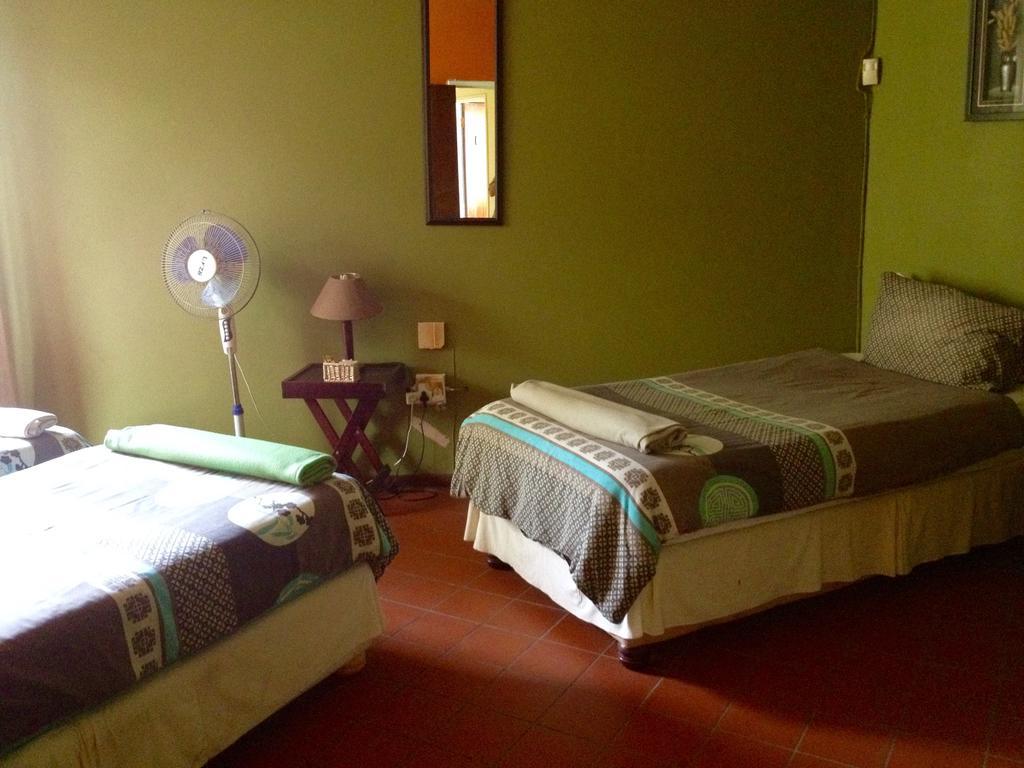Jungle Monkey Backpackers Hostel Port Saint Johnʼs Cameră foto