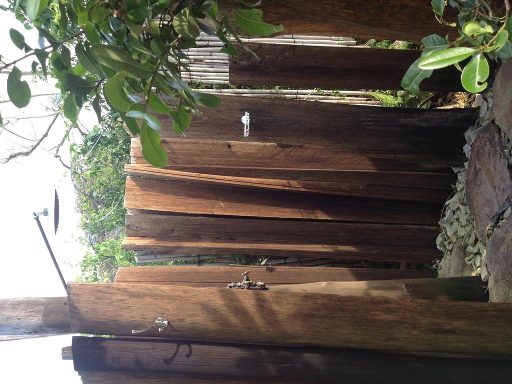 Jungle Monkey Backpackers Hostel Port Saint Johnʼs Cameră foto