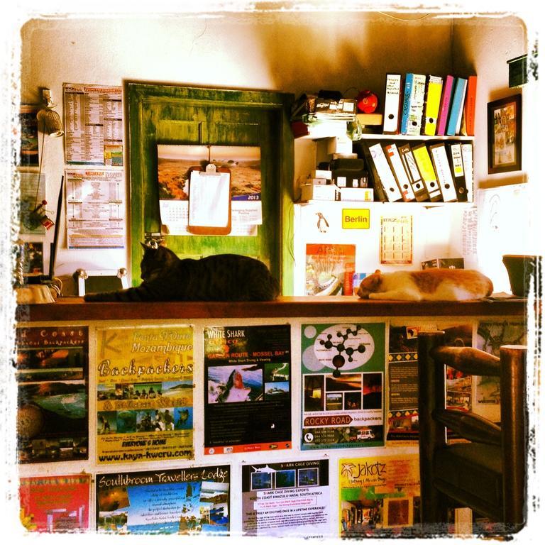 Jungle Monkey Backpackers Hostel Port Saint Johnʼs Exterior foto