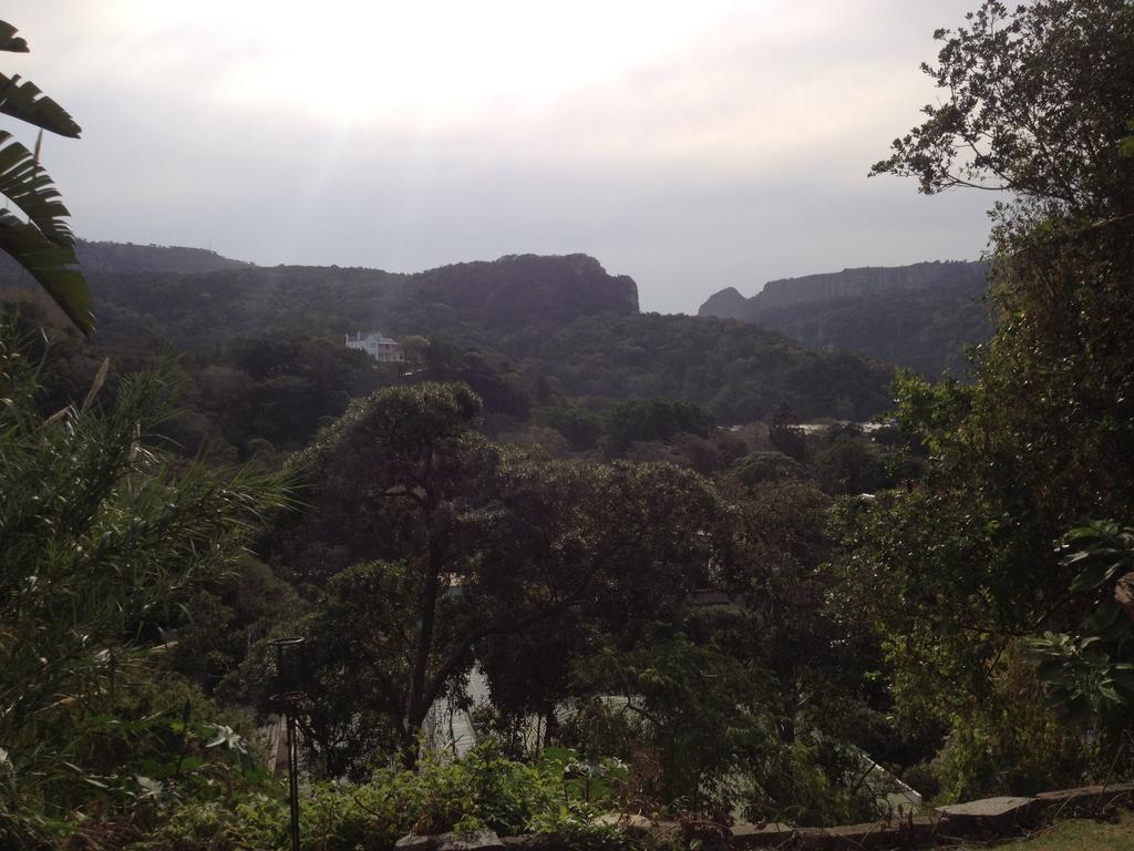 Jungle Monkey Backpackers Hostel Port Saint Johnʼs Cameră foto