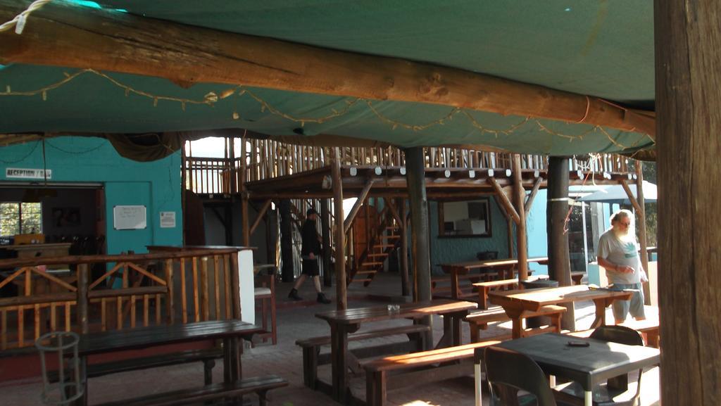 Jungle Monkey Backpackers Hostel Port Saint Johnʼs Exterior foto